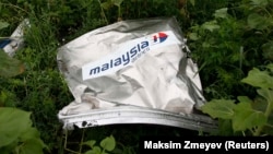Обломок "Боинга" Малайзийских авиалиний в поле в деревне Рассыпное, Донецкая область Украины