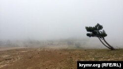 Гора Ай-Петри