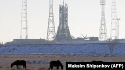 Байқоңыр кешені және оның маңында жайылып жүрген жылқылар. Көрнекі сурет. 