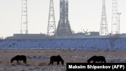 Лошади на фоне установленной на стартовой площадке космодрома Байконур ракеты-носителя. Иллюстративное фото.