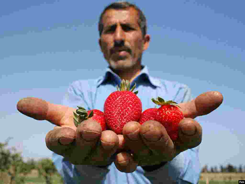 عکسها از خبرگزاری فارس