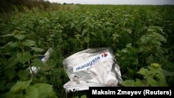 Літак «Боїнг-777» авіакомпанії Malaysia Airlines був збитий 17 липня 2017 року