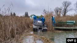 Az Országos Vízügyi Főigazgatóság munkatársai Ráckevei (Soroksári)-Duna-ágat veszélyeztető olajszennyeződést távolítják el Szigetszentmiklóson, 2020.12.13-án.