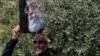 تهران، پس از نماز جمعه، سوم مرداد