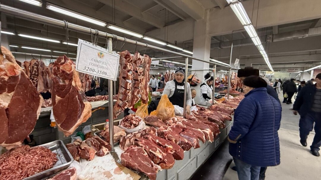 Жаңа BDSM фотосуреттері