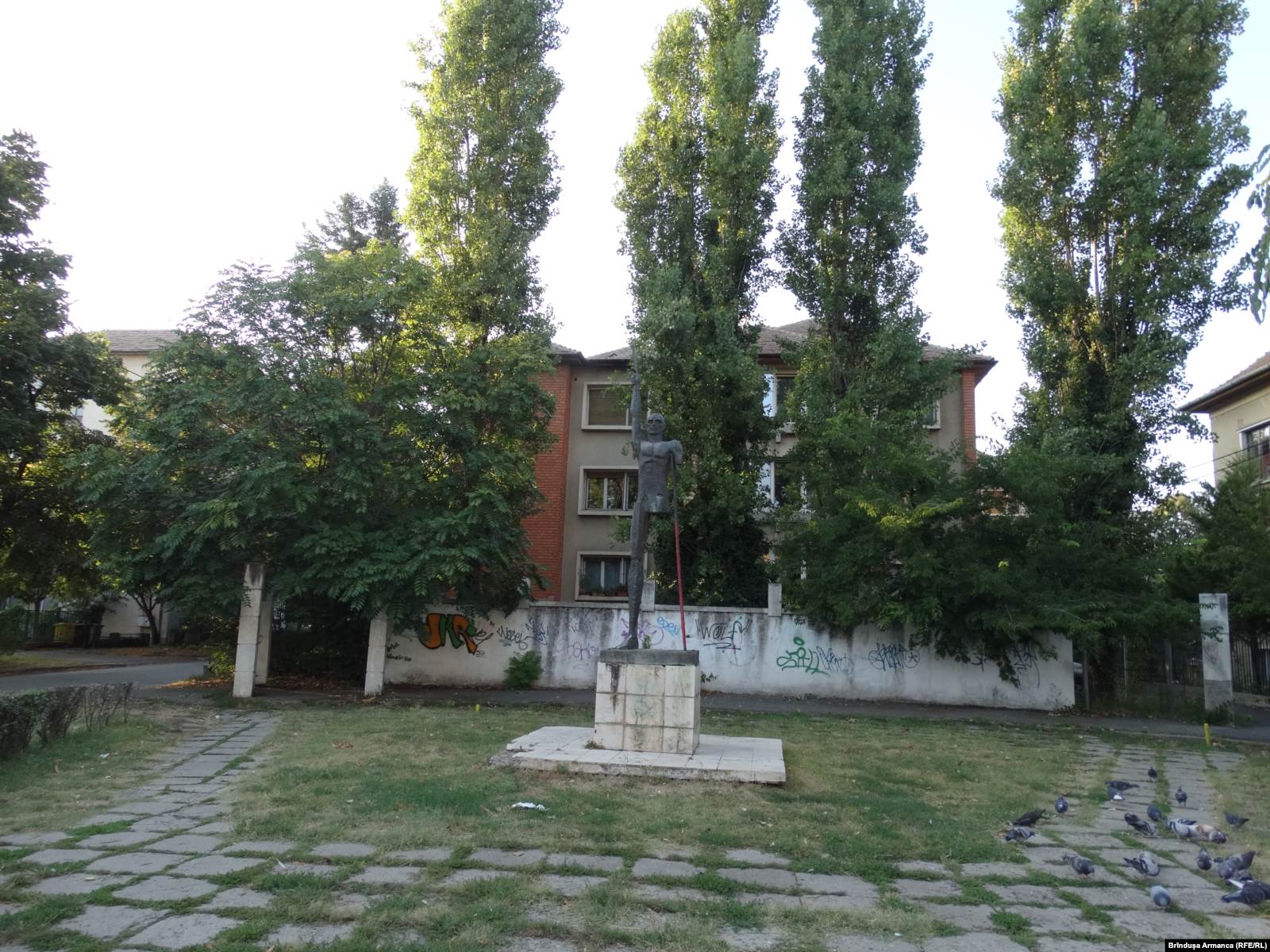  Învingătorul din Timișoara