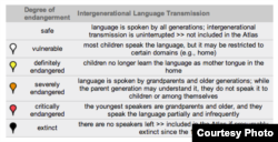 Ступені пагрозы для моваў паводле UNESCO