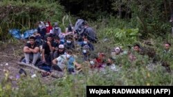 Мігранты на беларуска-польскай мяжы