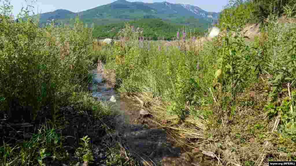 Притока-струмок продовжує поповнювати запаси Ізобільненського водосховища