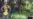 16x9 Image