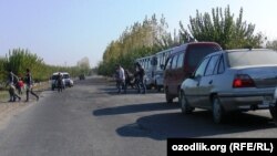 Uzbekistan - cotton harvest 2014, students in Samarkand are going to daily cotton pickup 