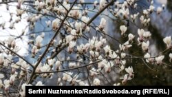 Найхолодніше було 8 квітня, коли мінімальна температура опустилась під ранок до мінус 0,5 градуса, а найтепліше – 30 числа, коли максимальна температура піднялась до +22 градусів