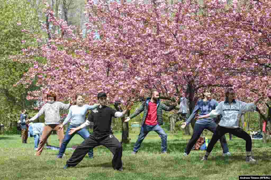 Practicând Qi Gong, o formă ușoară de exerciții fizice, în Grădina Japoneză din Parcul Herăstrău, București.