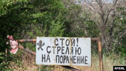 Әдемі биелердің суреттері