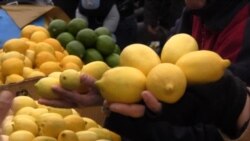 Səsi kənddə özü şəhərdə