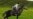 16x9 Image