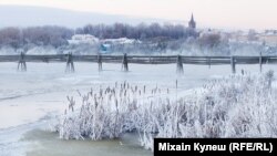 Вялейка, аўтар: Міхаіл Кулеш