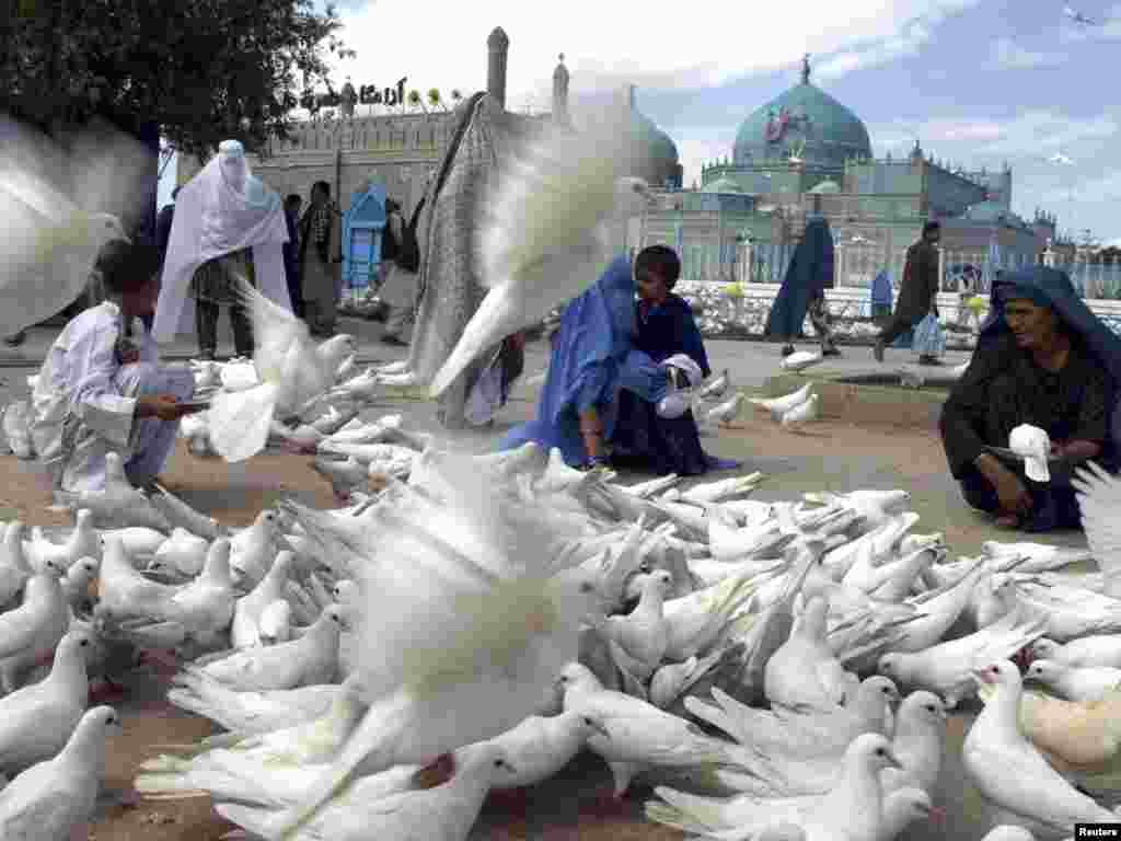 Afghan women feed pigeons in front of the Imam Ali Shrine in the city of Mazar-e Sharif on May 9. Photo by Reuters