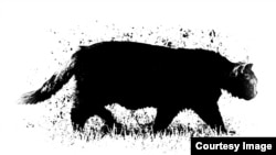 Малюнок Матвія Вайсберга для акції #CatsForTundra