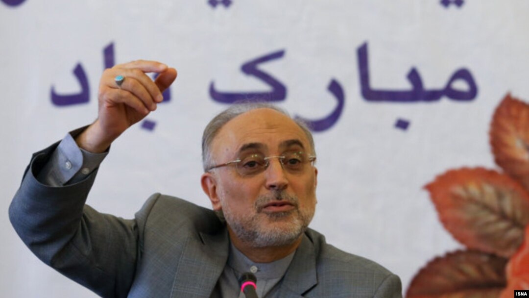 علی‌اکبر صالحی، رییس سازمان انرژی اتمی ایران.