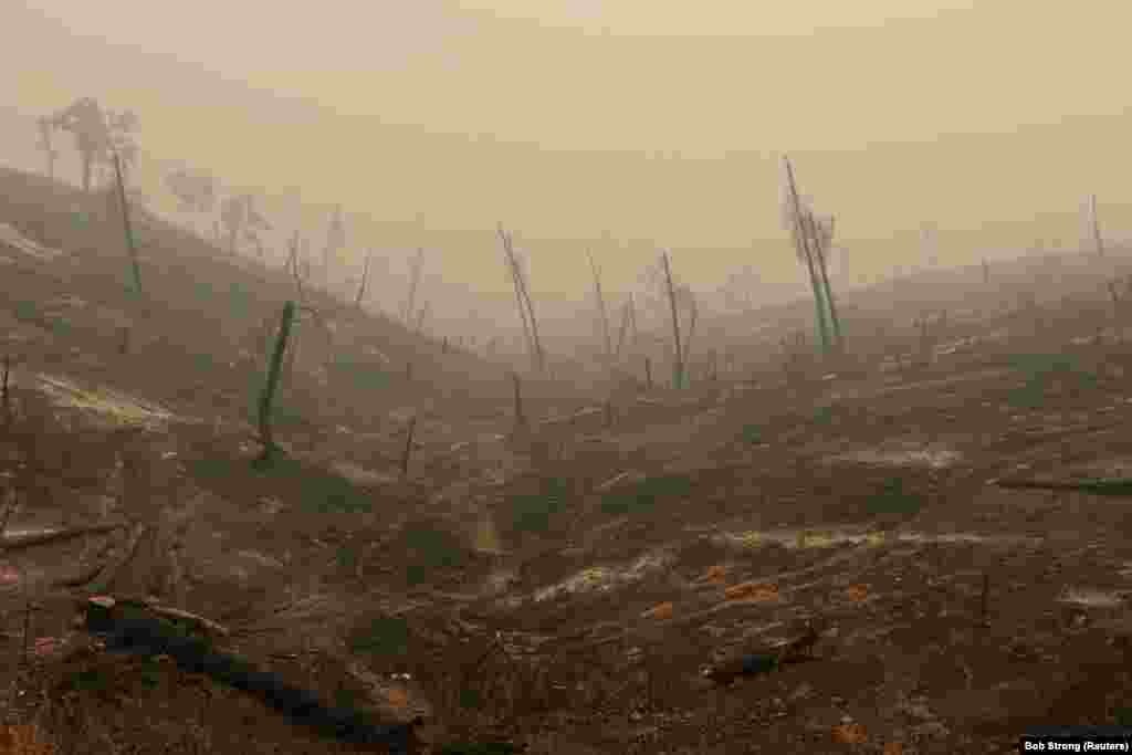 Hills are bare after being burned in the Carr Fire near Igo, California. Six people have been confirmed killed and seven others are missing in one of the most destructive wildfires in the state&#39;s history. More than 800 homes and 300 other buildings have been reduced to ash. (Reuters/Bob Strong)