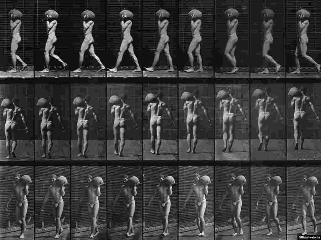 Eadweard Muybridge, Bărbat purtînd o minge, 1887