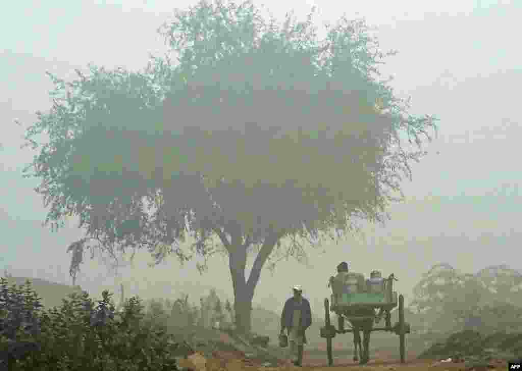 A Pakistani man walks past a horse and cart during fog in Lahore. (AFP/Arif Ali)