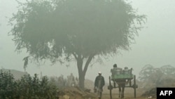 A thick fog has severely disrupted both air and road traffic in Pakistan in recent days. 