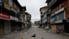 Dogs snooze on a road usually bustling with traffic on August 11 in Srinigar, the main city.&nbsp;