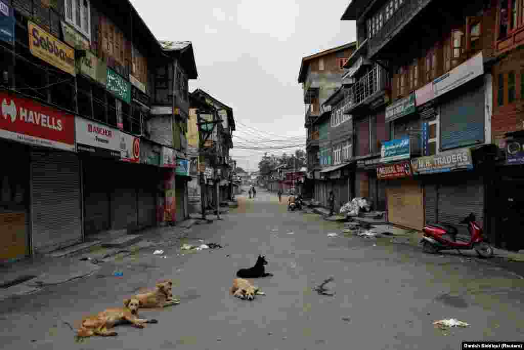 Dogs rest on an empty street during restrictions after the scrapping of the special constitutional status for Kashmir by the government, in Srinagar, on August 11.