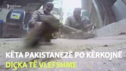 Në kërkim të arit...