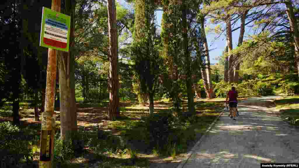 Територія інституту примикає до Масандрівського парку &ndash;&nbsp;пам&#39;ятника садово-паркового мистецтва регіонального значення