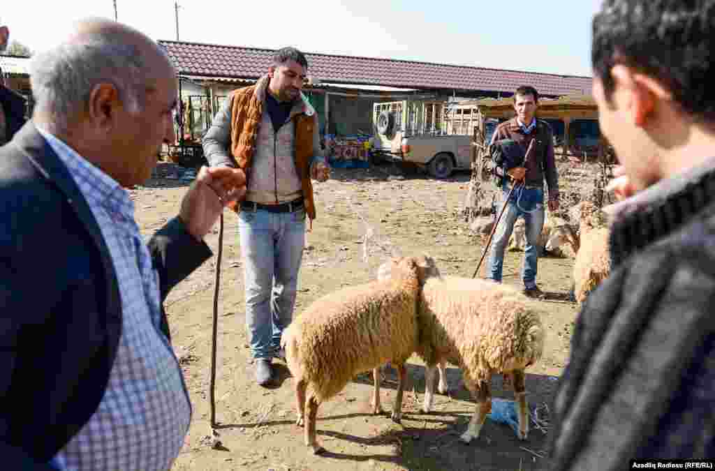 Sonda qalan iki qoyunu almaq üçün qiymət razılaşması aparılır. 