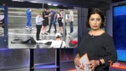 Ахбори Озодӣ аз 8-уми августи соли 2018