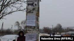 De îi lipsește bunul simț vieții politice moldovenești?