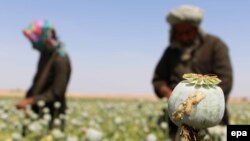 Afghanistan produces 90 percent of the world’s opium, according to the United Nations.