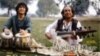  پارچه موسیقی «پشتو» ذاکر حسین تبله‌نواز هندی، برندهٔ جایزهٔ بین‌المللی موسیقی گرمی شد