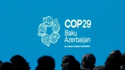 Voices From Baku: Residents Weigh In On Hosting COP29