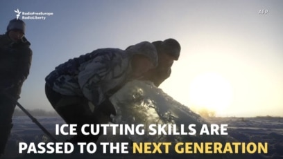 Ice Harvest Still A Lifeline In Siberia