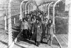 Освенцимнен азат етілген тұтқындар.