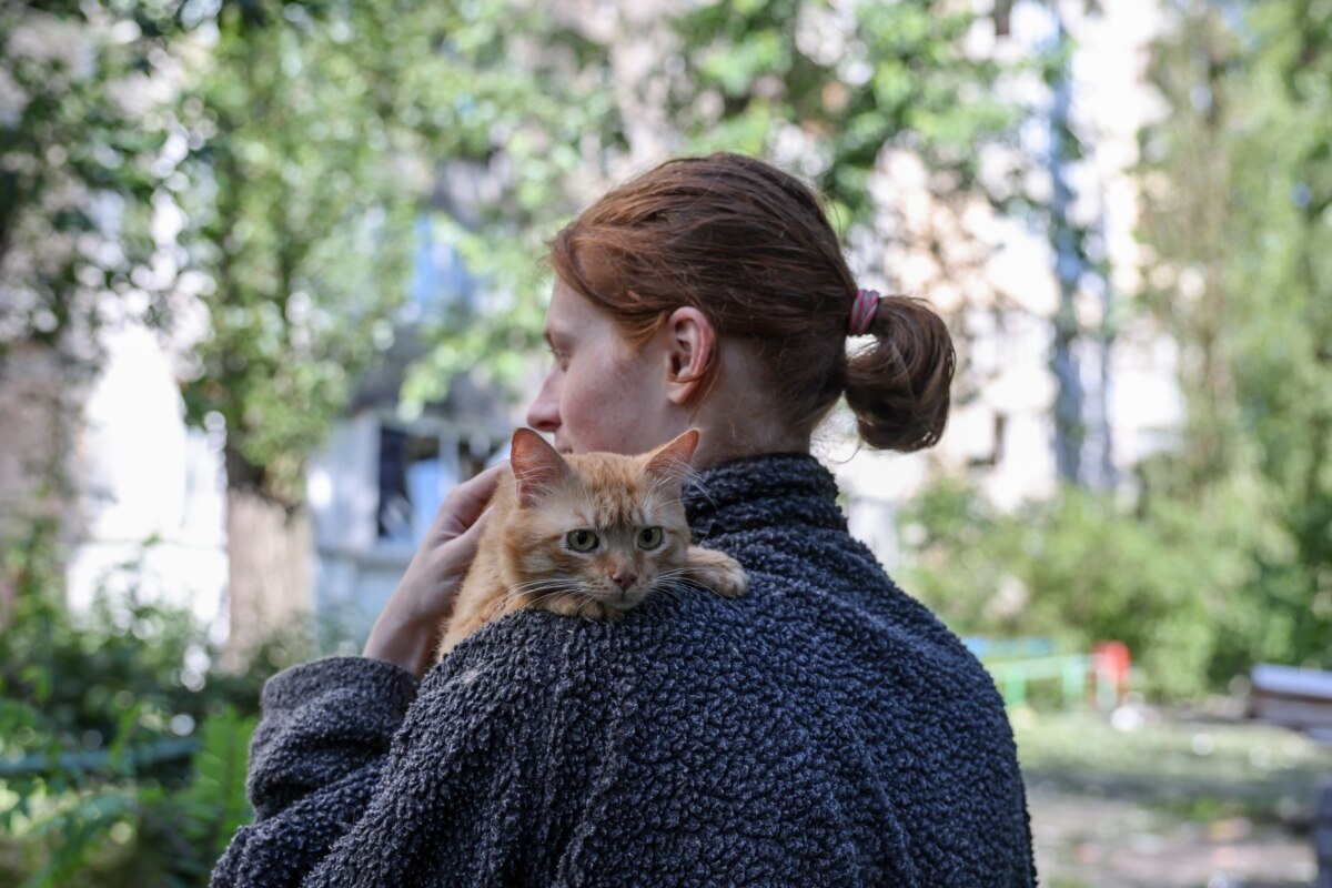 Котику теж дуже страшно. Поруч із місцем влучання у Деснянському районі Києва. 15 червня 2026 року