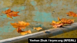 Золотая осень в Севастополе (фотогалерея)