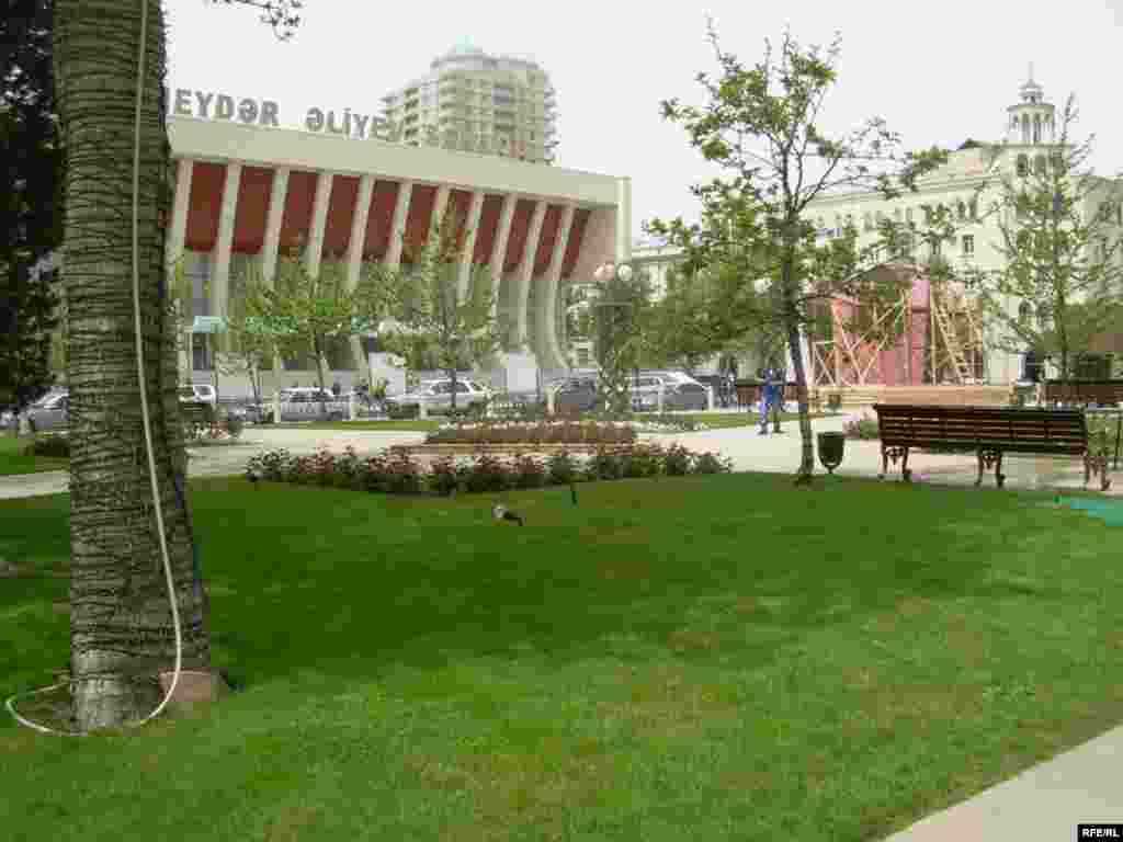 Bakıda gül bayramına hazırlıq gedir #15