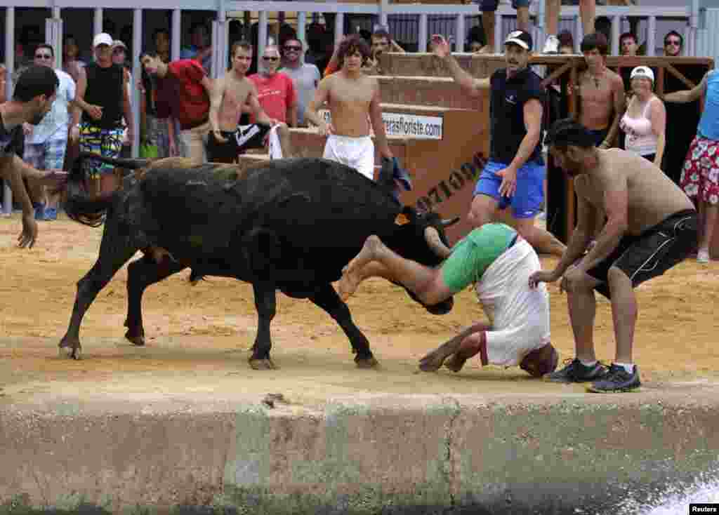 A reveller gets gored by a bull during the Bous a la Mar festival in the eastern Spanish coastal town of Denia. (Reuters/Heino Kalis)