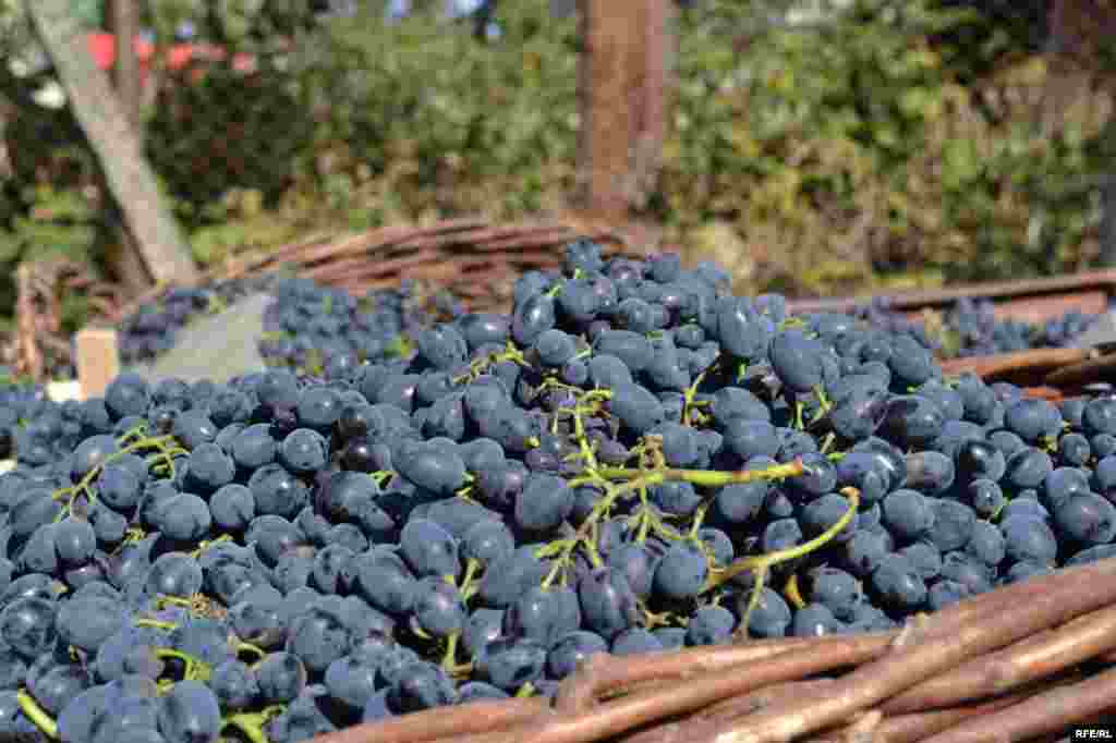 Prețuri mici, probleme mari #24