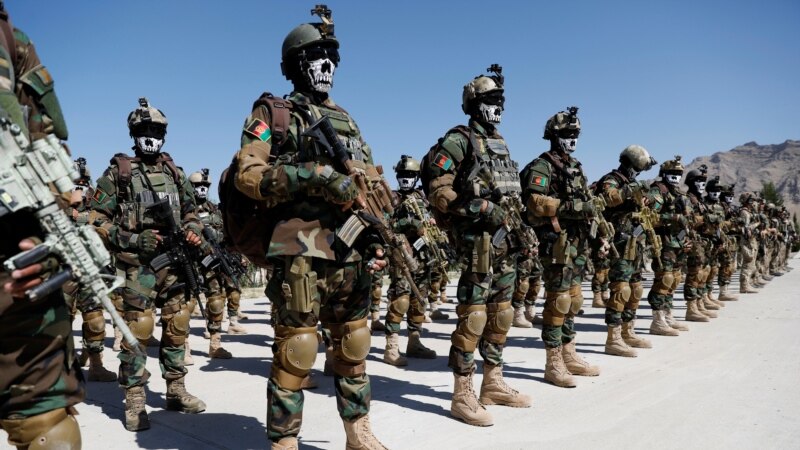 محب: نیروهای امنیتی و دفاعی مسئولیت ۹۶ درصد عملیات نظامی را بر عهده دارند