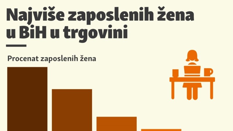 Koja su najčešća zaposlenja žena u BiH?
