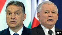 Viktor Orban (stânga) și Jaroslaw Kaczynski (dreapta)