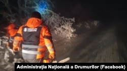 Muncitor cu o drujbă în mână se îndreaptă spre un copac doborât de chiciură peste un drum, Criuleni, 28 ianuarie 2026