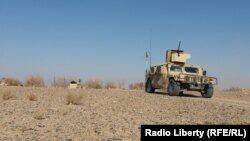 Owgan harbylary. Arhiw suraty